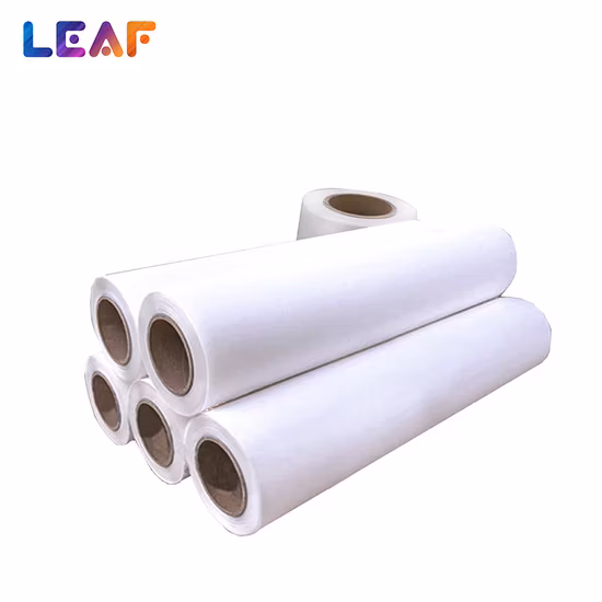 Single-Side Double-Side Hot/ Cold Peel 60cm 30cm 33cm 43cm Dtf Transfer Pet Film for Digital T-Shirt Printing Machine Dtf Printer